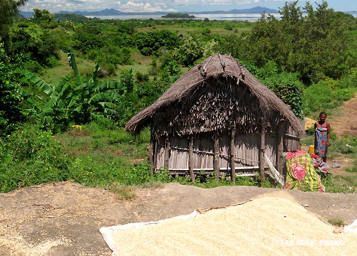 excursions et découvertes à Nosy Be